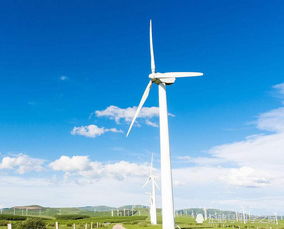 風力發電的環保悖論 清潔能源為何可能加劇全球變暖？